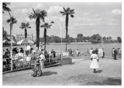 Palmen am Alsterpavillon