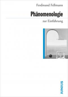 Ferdinand Fellmann: Phänomenologie zur Einführung