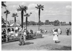 Palmen am Alsterpavillon 