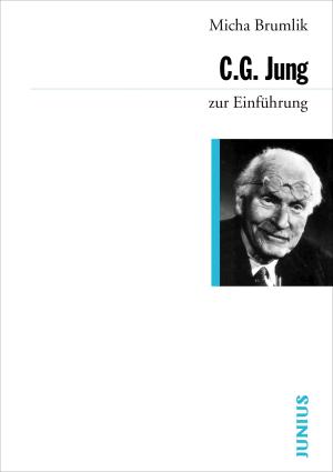 Micha Brumlik: C. G. Jung zur Einführung 