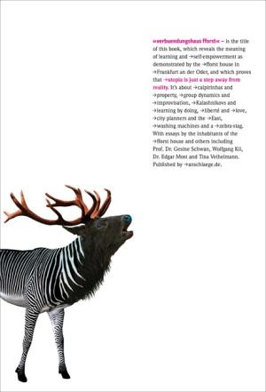 verbuendungshaus fforst 