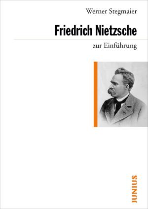 Werner Stegmaier: Friedrich Nietzsche zur Einführung 
