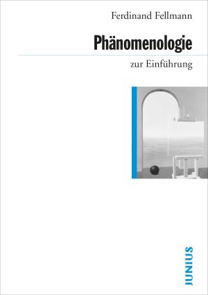 Ferdinand Fellmann: Phänomenologie zur Einführung 