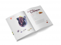 Cornelia Horn, Nicola Maier-Reimer, Meike Stüber: Unsere Hamburger Wochenmarkt-Küche 