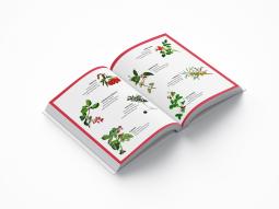 Thomas Schmidt: Was grünt und blüht in Hamburg? 