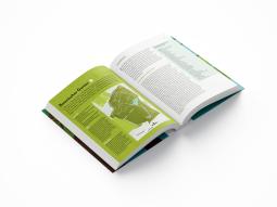 Thomas Schmidt: Hamburgs Bäume 