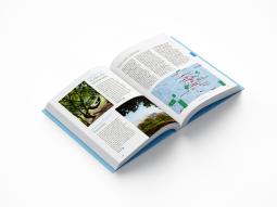 Tanja Breukelchen, Bernd Jonkmanns: Hej Hamburg 