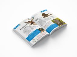 Thomas Schmidt: Ahorn, Rotfuchs & Zitronenfalter 