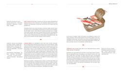 Jörn Tietgen: Hambuch 