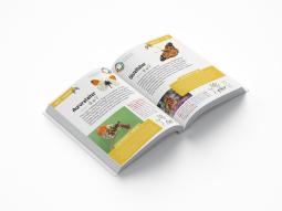 Thomas Schmidt: Ahorn, Rotfuchs & Zitronenfalter 