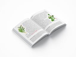 Thomas Schmidt: Was grünt und blüht in Hamburg? 