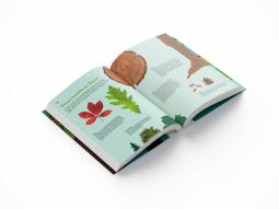 Thomas Schmidt: Hamburgs Bäume 