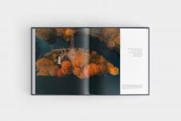 Matthias Plander: Der Hamburger 