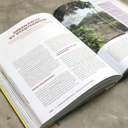 Yasmin Maddi: Urban Grünzeug 